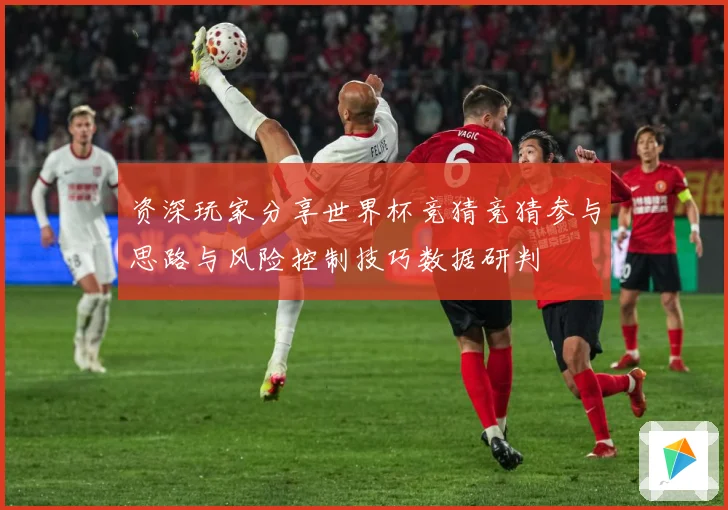 资深玩家分享世界杯竞猜竞猜参与思路与风险控制技巧数据研判