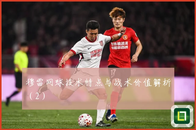 穆雷网球技术特点与战术价值解析（2）